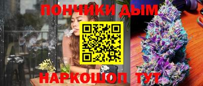 мдпв Жуковский