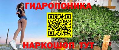 мдпв Жуковский