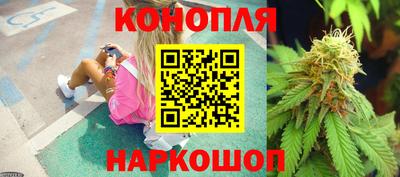 тгк Заволжье