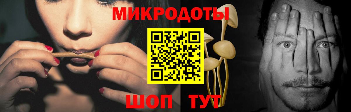 Галлюциногенные грибы Psilocybine cubensis Ефремов